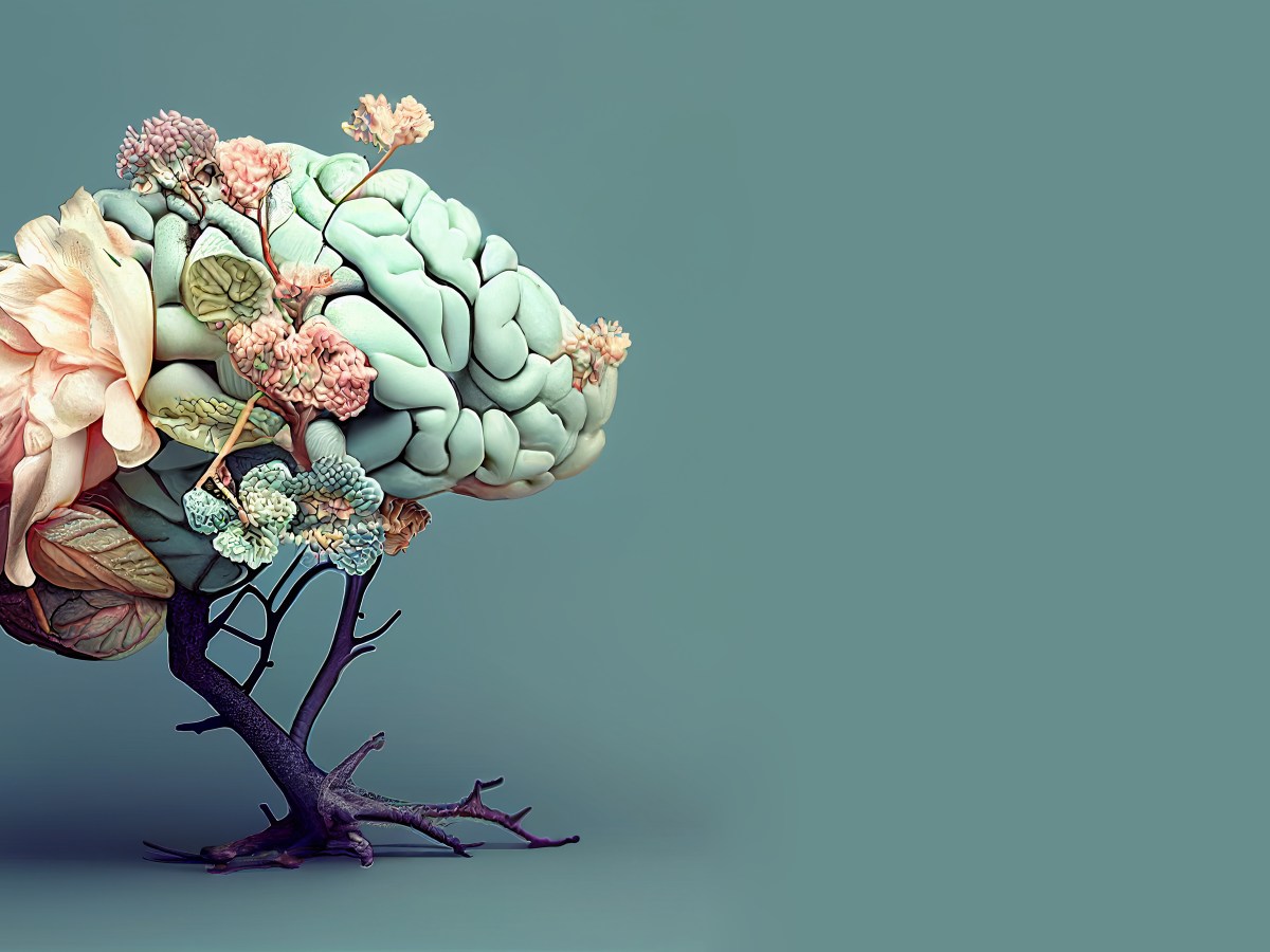 PNL : une thérapie brève pour un changement durable et aligné